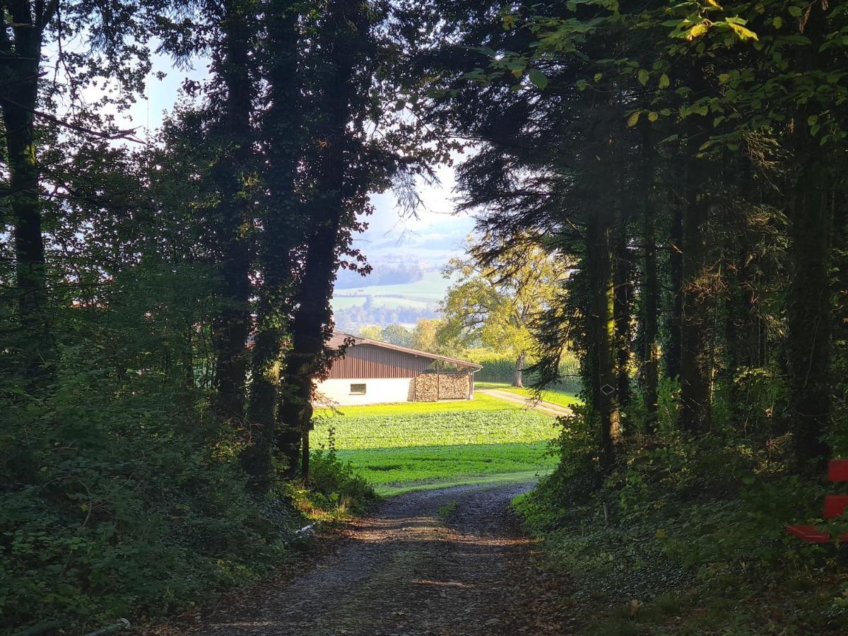 Familiy & Kids Suite Im Herzen Der Schweiz Dietwil Luaran gambar